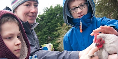 Image principale de Family Feathers and Fun