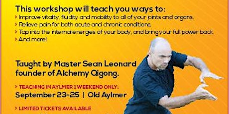 Alchemy Qigong 2- Day Weekend Workshop with Master Sean Leonard