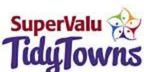Tidy Towns Competition - Special Awards