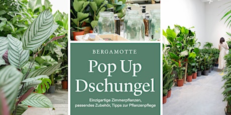 Pop Up Dschungel // Köln  primärbild