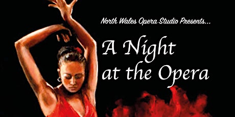 A Night at the Opera tickets