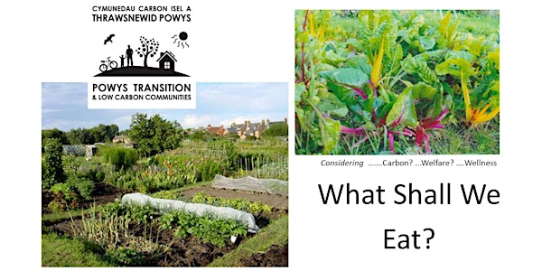 What Shall We Eat? (considering carbon, welfare and wellness.)