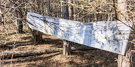 Mapping forests: Exhibition by Julia Dorninger and Claudia Dorninger-Lehner