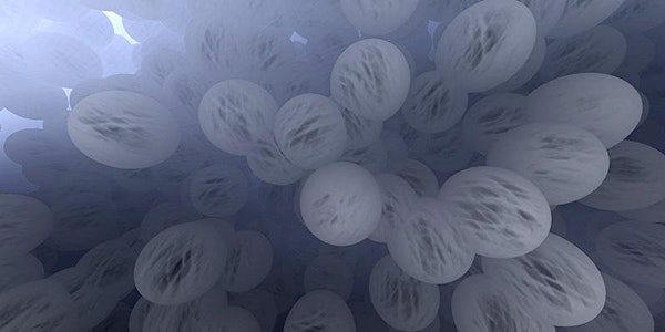 IN THIS CONVEX HULL: A Full Dome Projection by Brandon Morse