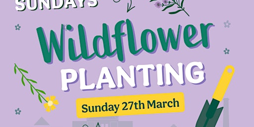 Spring Sundays - Wildflower Workshop primary image