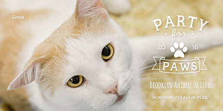 Party for Paws 2016 Brooklyn Animal Action Fundraiser primary image