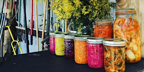 Farming Ferments primary image