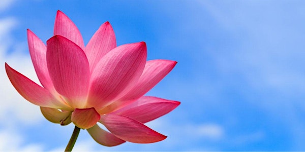 Wednesday Meditation - Finding Beauty in Ourselves and Others - Wed 25 May