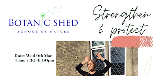 Qigong at Botanic Shed with Tallulah Rendall primary image