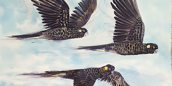 Adult Watercolour Art Class - Native Birds