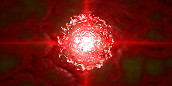 CHAKRADANCE® - Journey through the BASE Chakra