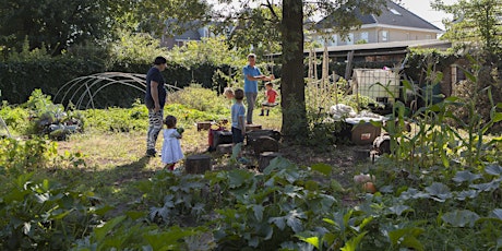 Primaire afbeelding van Workshop: Vliegende start van je eigen buurtmoestuin!