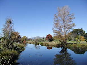 Christchurch Virtual Waterway Walk primary image