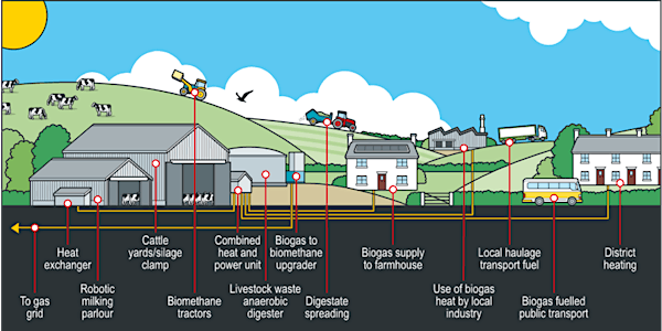 On-site Bio-energy - How Can Farmers Benefit?