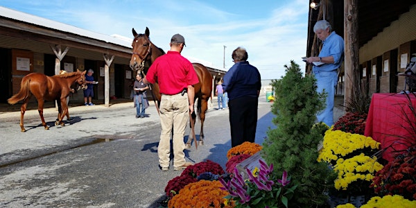 Yearling Sales 201 Seminar: Breeding, Buying, and Racing Thoroughbreds