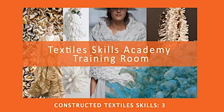 CONSTRUCTED TEXTILES SKILLS:  3 (Textiles Skills Centre Online) primary image