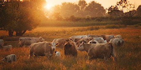 Sustainable Livestock Solutions biglietti