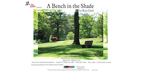 A Bench in the Shade