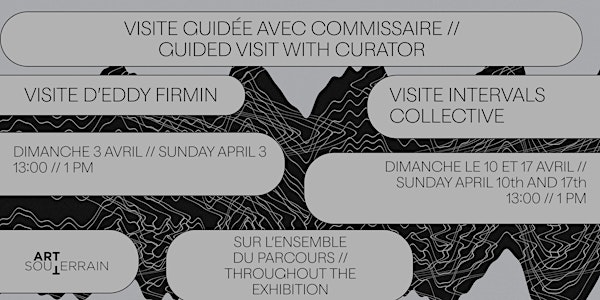Visite Guidée avec Commissaire // Guided Visit with Curator