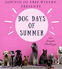 French Bull Dogs Meetup-Hounds of Erie Winery Presents: Dog Days of Summer