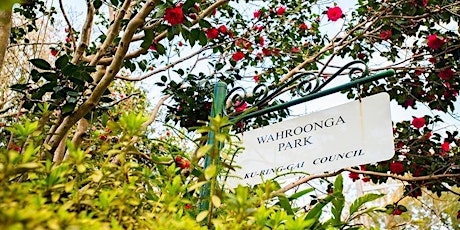 Wahroonga Park: a journey through time – with Zeny Edwards