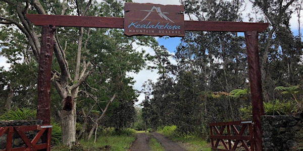 Huakaʻi: Kealakekua Mountain Reserve