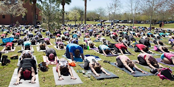 Yoga Rocks the Park - Phoenix