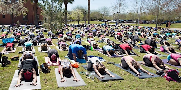 Yoga Rocks the Park - Phoenix