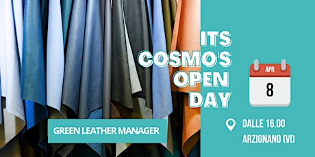 OPEN DAY ITS GREEN LEATHER