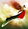 Logo de Palestine Human Rights Campaign Waikato