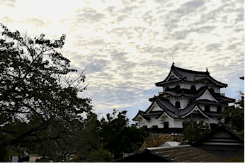 Japan's National Treasure: Hikone Castle, Spring 
