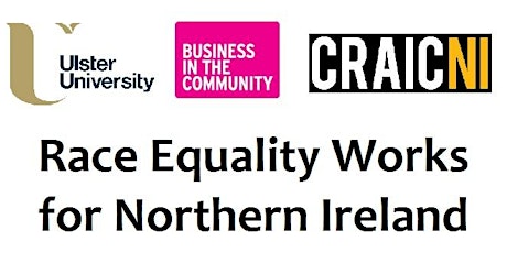 Race Equality Works for Northern Ireland - Report launch primary image