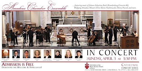 Cathedral Concert: Amadeus Chamber Ensemble