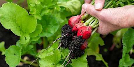 June 2 - Gardening Webinar - Tips for Growing Nutrient-Dense Foods tickets