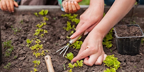 July 7 - Gardening Webinar - Building Healthy Organic Garden Soil biglietti