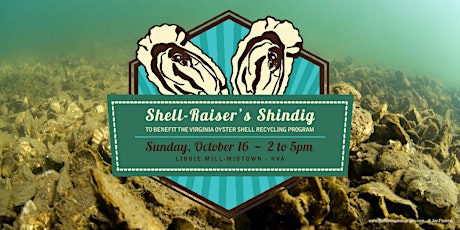 Shell-Raiser's Shindig primary image