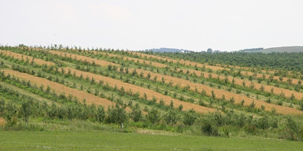 NEMA Webinar Series #1: Agroforestry Opportunities and Resources in the Northeast Oct. 7
