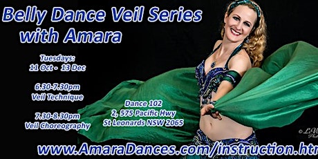 Amara's Belly Dance Series 11 Oct - 13 Dec 2016 primary image