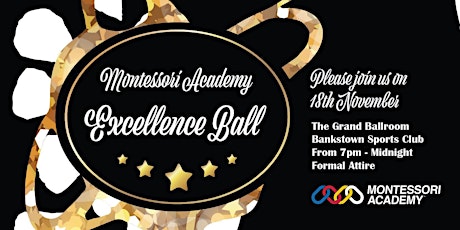 Montessori Academy Excellence Ball primary image