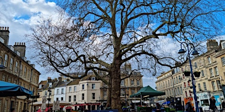 Discovering Bath's Trees tickets