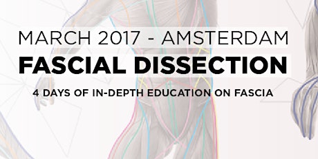 Primaire afbeelding van Perform Better Benelux presents: Fascial Dissection 4-day Course with Anatomy Trains & Institute of Motion