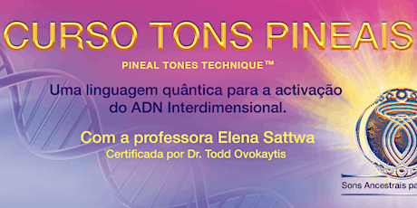 Imagem principal de CURSO "TÉCNICA DOS TONS PINEAIS"