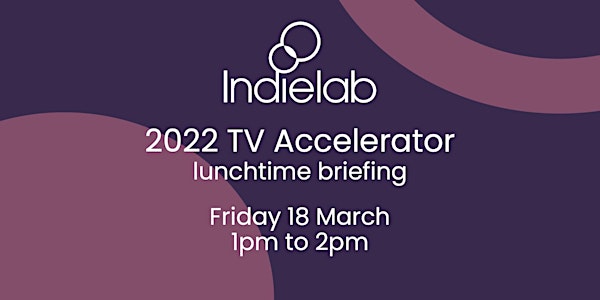 Indielab 2022 TV Accelerator: lunchtime briefing