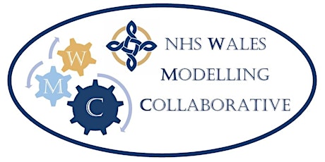 NHS Wales Modelling Collaborative Launch: Focus on Stroke primary image