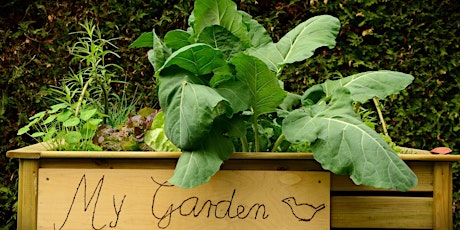 Guilford Goes Green: Container Gardening biglietti