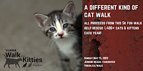 VOKRA Walk for the Kitties 2022 primary image