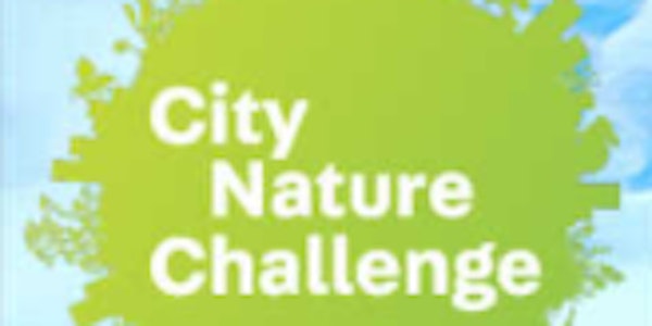 City Nature Challenge: Ridgewood Reservoir Birds & Insects ID Walking Tour
