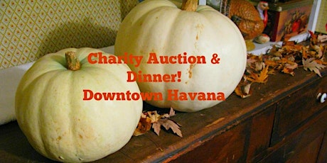 Charity Aucion & Dinner in Havana! primary image