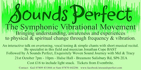 Sounds Perfect. The Symphonic Vibrational Movement primary image