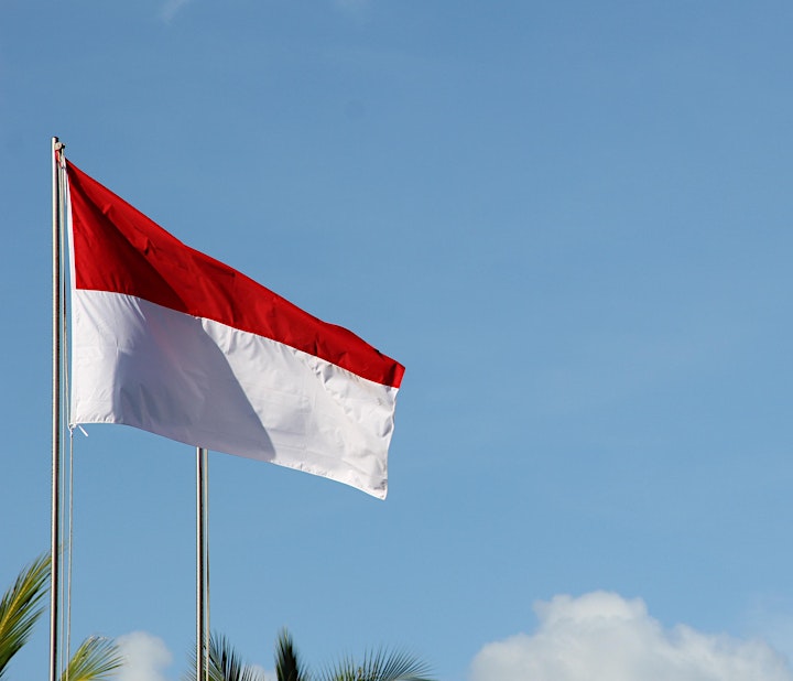 Landeseminar: Indonesien (Dansk-Asiatisk SMV Netværk) image
